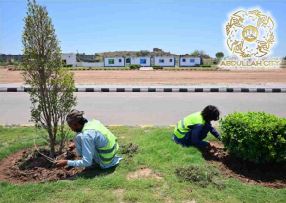 Development on Peak June 2025 / Construction work on Peak in June 2025 / Latest Development in June 